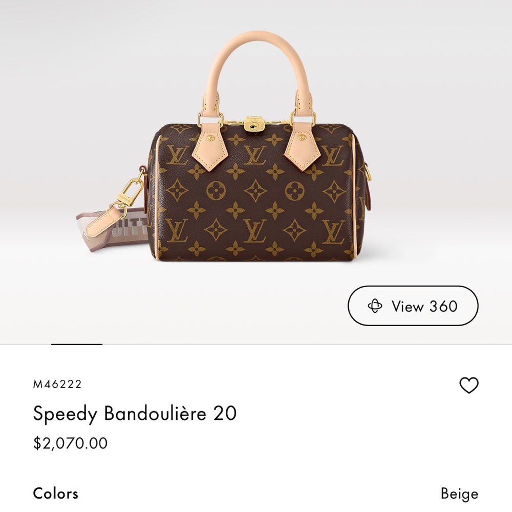 Louis Vuitton Bag - Picture 11 of 12